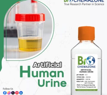 Human Urine