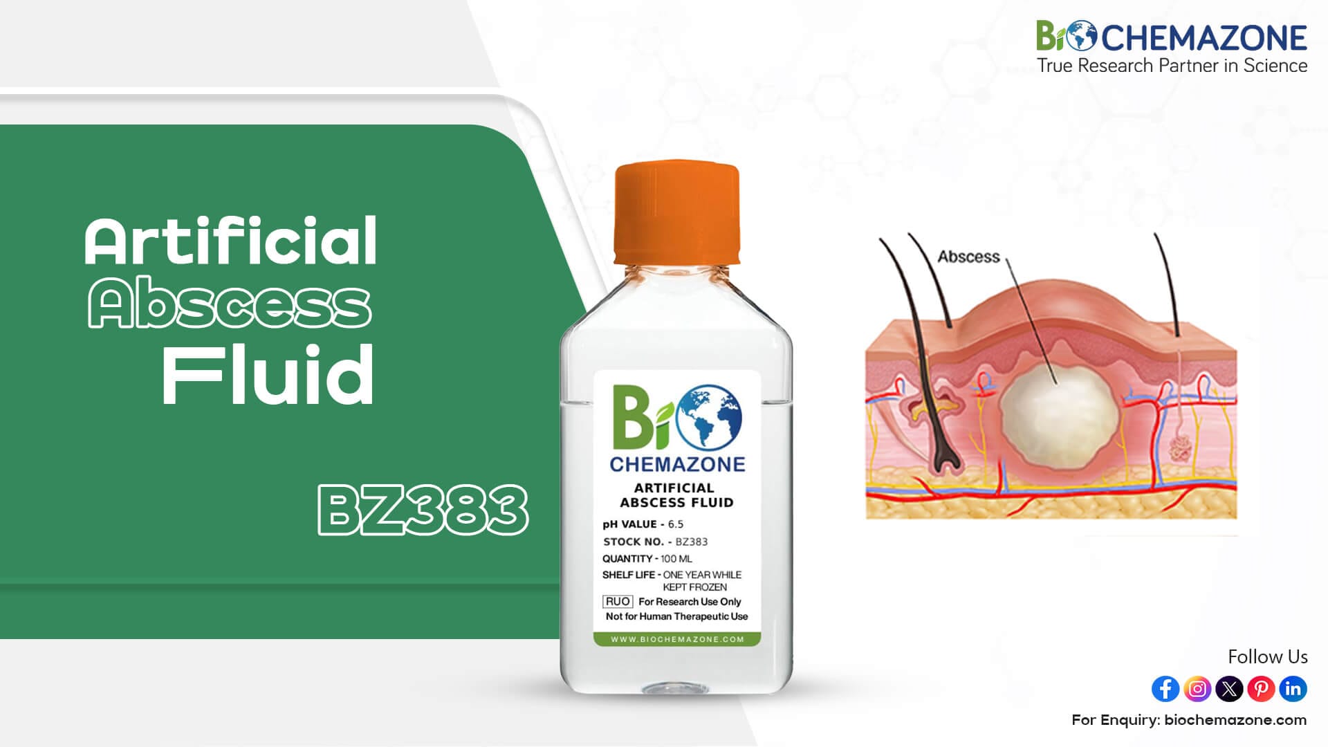 The Ultimate Guide to Artificial Abscess Fluid for Research Applications 1 Artificial Abscess Fluid
