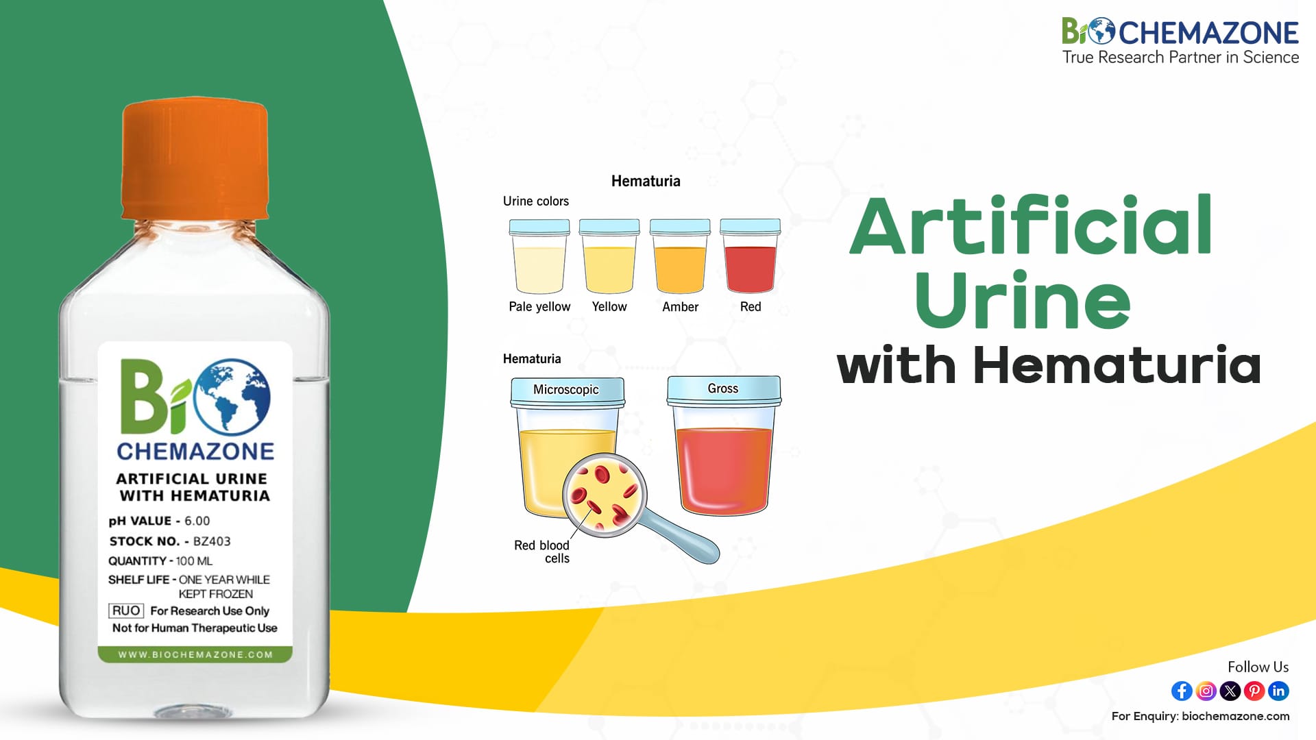 Artificial Urine with Hematuria - Customizable, Sterile & Reliable 1 Artificial Urine with Hematuria