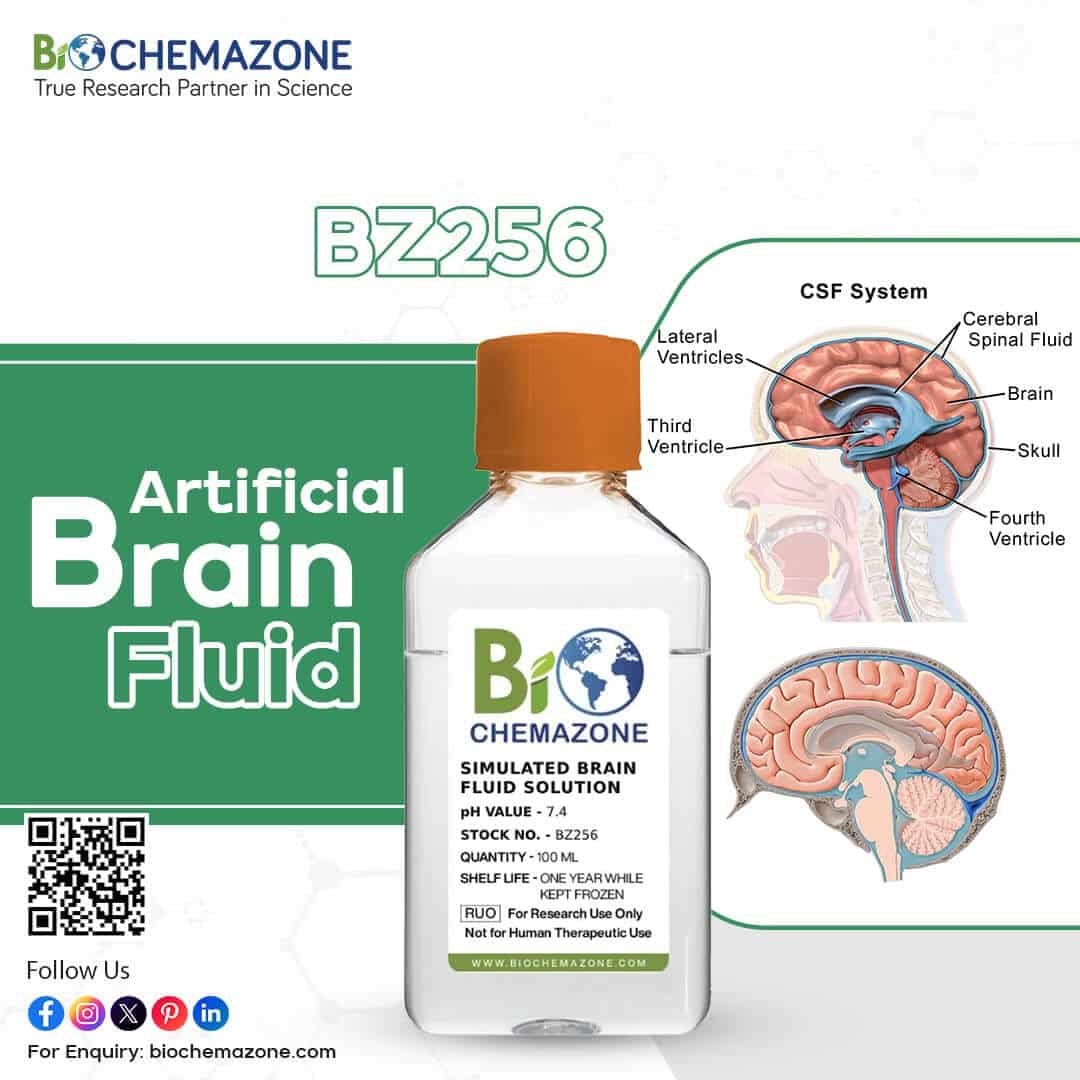 Artificial Brain Fluid